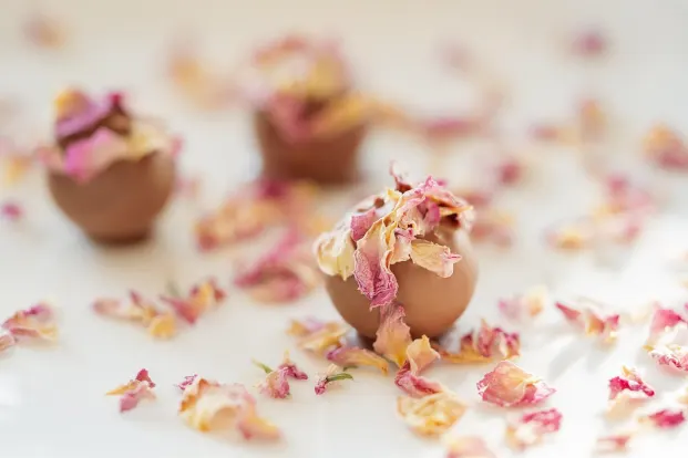 Crystal Casino Android/iOS App