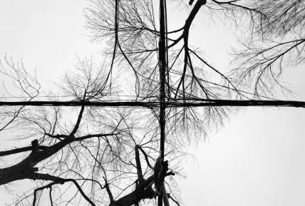 Crystal Casino Mobile App